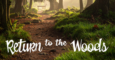 Describe the photo or the page it links to